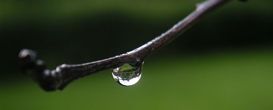 Trennung ohne Schmerz – geht das?